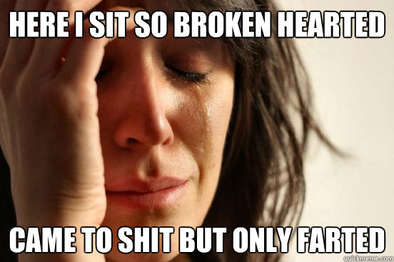 here i sit so broken hearted came to shit but only farted  First World Problems