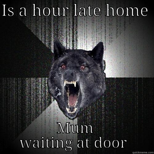IS A HOUR LATE HOME  MUM WAITING AT DOOR  Insanity Wolf