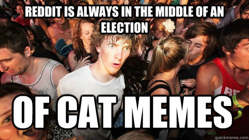 reddit is always in the middle of an election Of cat memes  Sudden Clarity Clarence