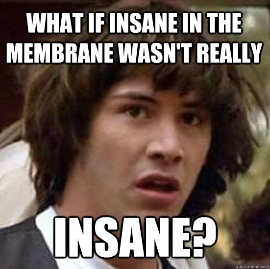 What if insane in the membrane wasn't really Insane?  conspiracy keanu