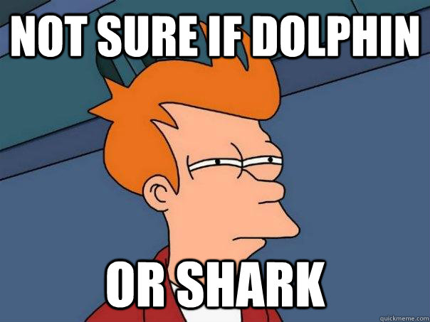 not sure if dolphin or shark  Futurama Fry