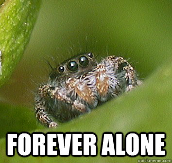  Forever alone  Misunderstood Spider
