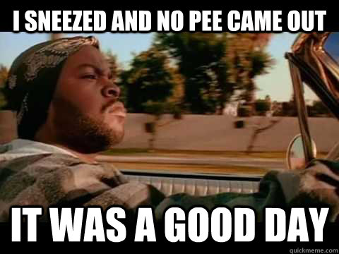 I sneezed and no pee came out it was a good day  Good day cube