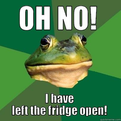 OH NO! I HAVE LEFT THE FRIDGE OPEN! Foul Bachelor Frog