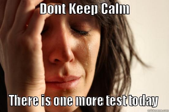                 DONT KEEP CALM                 THERE IS ONE MORE TEST TODAY First World Problems