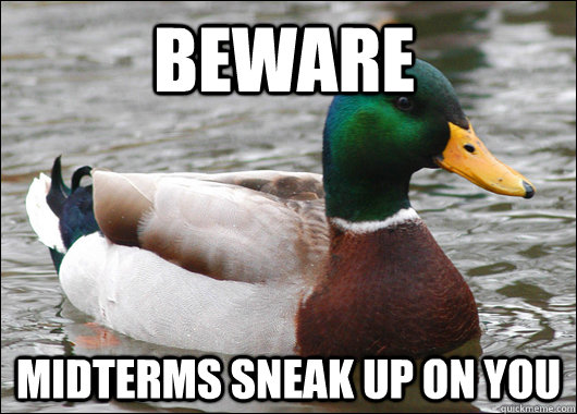 Beware midterms sneak up on you  Actual Advice Mallard