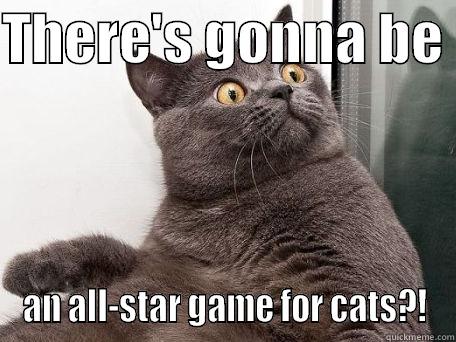 THERE'S GONNA BE  AN ALL-STAR GAME FOR CATS?! conspiracy cat
