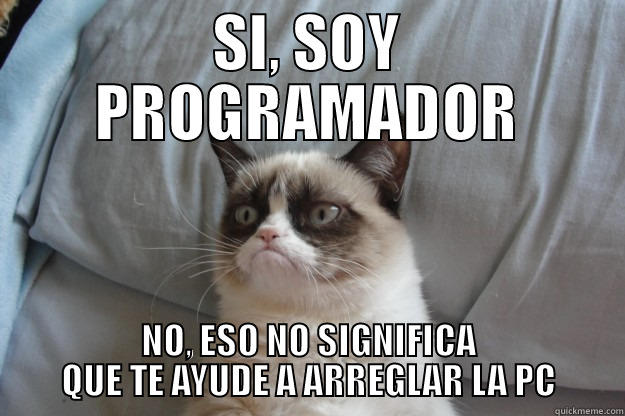 SI, SOY PROGRAMADOR NO, ESO NO SIGNIFICA QUE TE AYUDE A ARREGLAR LA PC Grumpy Cat