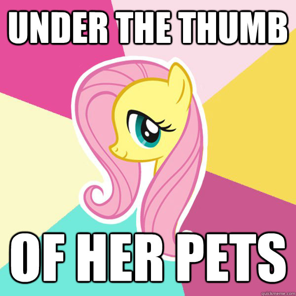 Under the thumb of her pets  Fluttershy