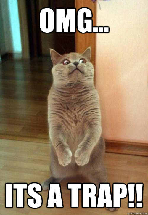 OMG... Its A Trap!!  Horrorcat