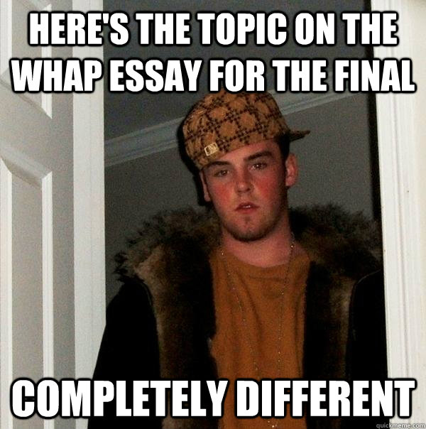 Here's the topic on the whap essay for the final completely different   Scumbag Steve