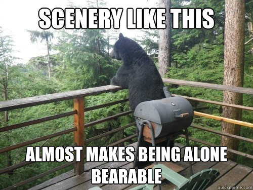 Scenery like this almost makes being alone bearable - Scenery like this almost makes being alone bearable  Forever Alone Bear