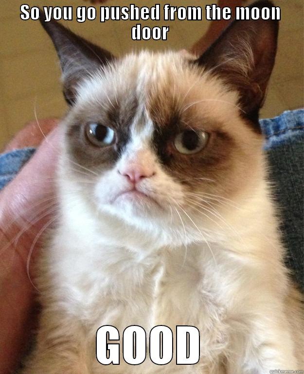 Grumpy cat's comments on GoT S4E7 - SO YOU GO PUSHED FROM THE MOON DOOR GOOD Misc