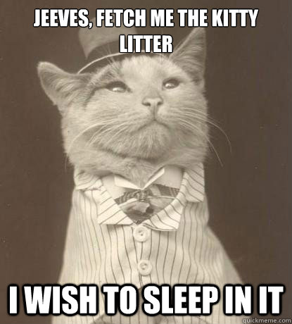 Jeeves, Fetch me the kitty litter I wish to sleep in it  Aristocat