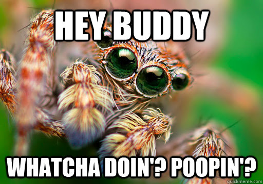 Hey Buddy Whatcha doin'? Poopin'? - Hey Buddy Whatcha doin'? Poopin'?  Misc
