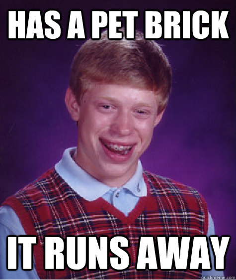 Has a Pet Brick it runs away  Bad Luck Brian