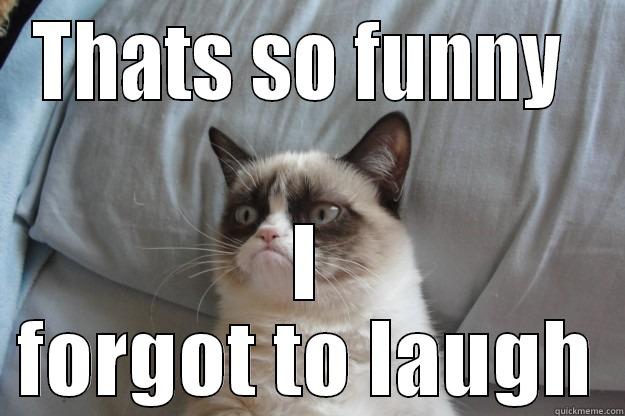 Thats so funny I forgot to laugh - THATS SO FUNNY  I FORGOT TO LAUGH Grumpy Cat