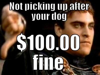 NOT PICKING UP AFTER YOUR DOG $100.00 FINE Downvoting Roman