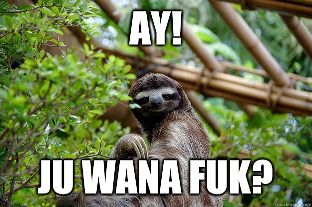 Ay! Ju wana fuk?  Fabulous Sloth