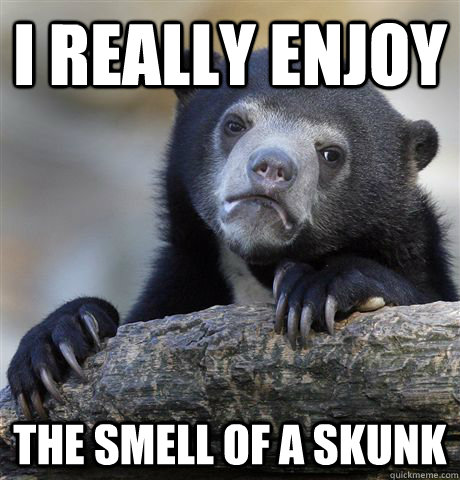 i really enjoy the smell of a skunk  Confession Bear