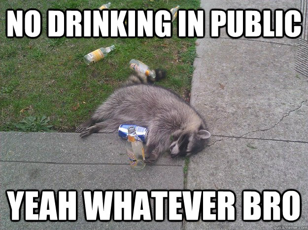 No drinking in public yeah whatever bro  