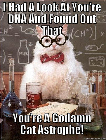 I HAD A LOOK AT YOU'RE DNA AND FOUND OUT THAT YOU'RE A GODAMN CAT ASTROPHE! Chemistry Cat
