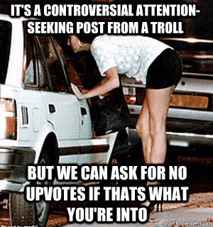 It's a controversial attention-seeking post from a troll but we can ask for no upvotes if thats what you're into  Karma Whore