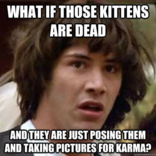 What if those kittens are dead And They are just posing them and taking pictures for karma?  conspiracy keanu