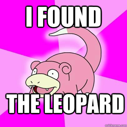 I found the leopard   Slowpoke