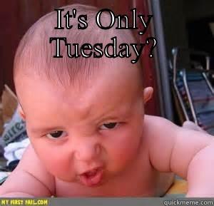 IT'S ONLY TUESDAY?  Misc