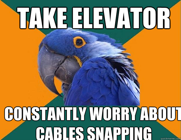 take elevator constantly worry about cables snapping   Paranoid Parrot