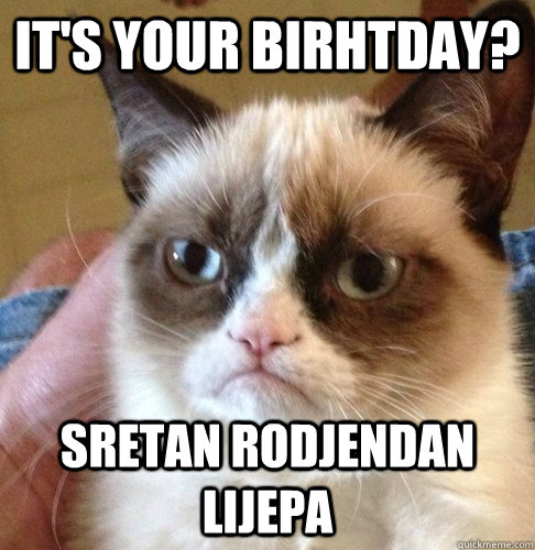 It's your birhtday? Sretan rodjendan lijepa - It's your birhtday? Sretan rodjendan lijepa  Happy Birthday Angry Cat