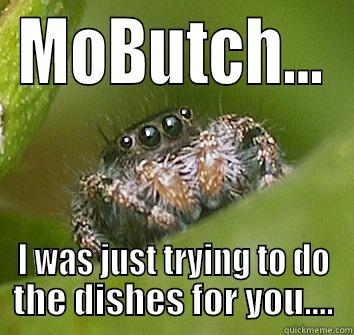 MOBUTCH... I WAS JUST TRYING TO DO THE DISHES FOR YOU.... Misunderstood Spider