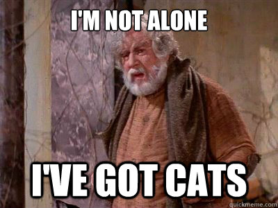 I'm not alone I've got cats - I'm not alone I've got cats  Cats