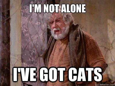 I'm not alone I've got cats  