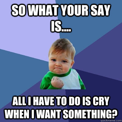 So what your say is.... all i have to do is cry when i want something? - So what your say is.... all i have to do is cry when i want something?  Success Kid