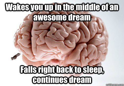Wakes you up in the middle of an awesome dream Falls right back to sleep, continues dream  Good Guy Brain
