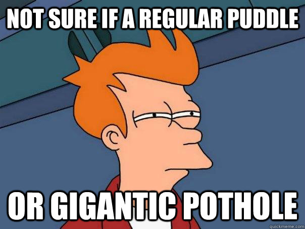 Not sure if a regular puddle Or gigantic pothole  Futurama Fry