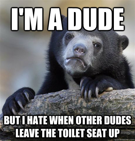 I'm a dude but I hate when other dudes leave the toilet seat up  Confession Bear