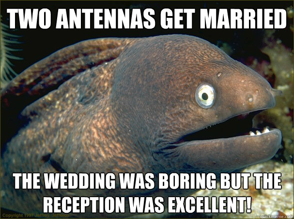 Two Antennas get married
 The wedding was boring but the reception was excellent!   Bad Joke Eel