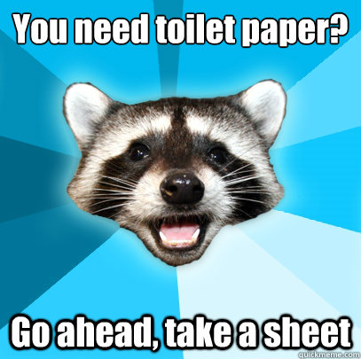 You need toilet paper?
 Go ahead, take a sheet  Lame Pun Coon
