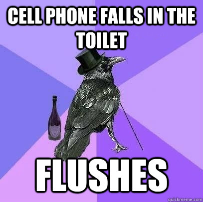cell phone falls in the toilet flushes  Rich Raven