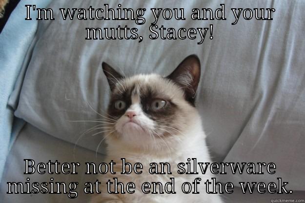 I'M WATCHING YOU AND YOUR MUTTS, STACEY! BETTER NOT BE AN SILVERWARE MISSING AT THE END OF THE WEEK. Grumpy Cat