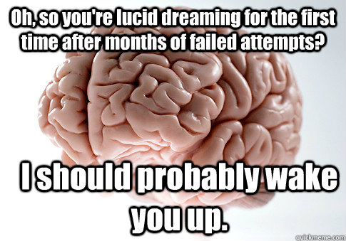 Oh, so you're lucid dreaming for the first time after months of failed attempts? I should probably wake you up.  Scumbag Brain