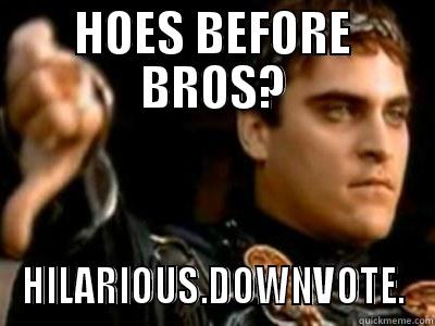 HOES BEFORE BROS? HILARIOUS.DOWNVOTE. Downvoting Roman