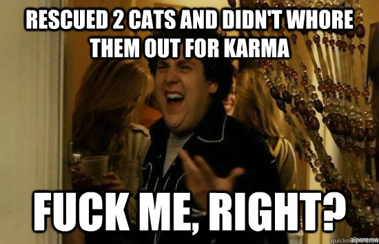 rescued 2 cats and didn't whore them out for karma Fuck me, right? - rescued 2 cats and didn't whore them out for karma Fuck me, right?  Misc