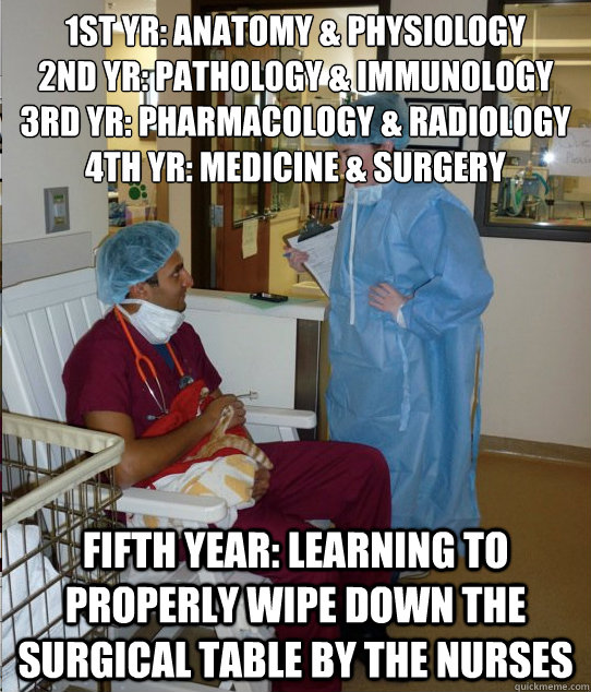 1st yr: anatomy & physiology
2nd yr: pathology & immunology
3rd yr: pharmacology & radiology
4th yr: medicine & surgery fifth year: learning to properly wipe down the surgical table by the nurses - 1st yr: anatomy & physiology
2nd yr: pathology & immunology
3rd yr: pharmacology & radiology
4th yr: medicine & surgery fifth year: learning to properly wipe down the surgical table by the nurses  Overworked Veterinary Student