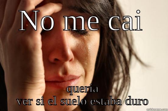 NO ME CAI QUERIA VER SI EL SUELO ESTABA DURO First World Problems