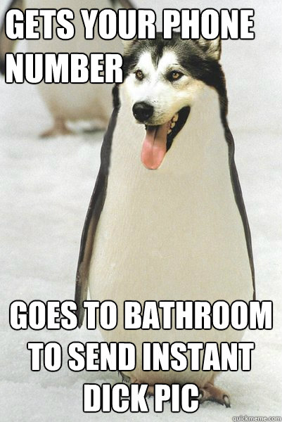 gets your phone number goes to bathroom to send instant dick pic  Courageously Awkward Wolf