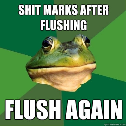 Shit marks after flushing flush again  Foul Bachelor Frog